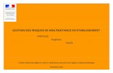GESTION DES RISQUES DE MALTRAITANCE EN …solidarites-sante.gouv.fr/IMG/pdf/guide_gestion_des... · des programmes de gestion coordonnée et globale des risques en établissement
