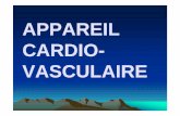 APPAREIL CARDIOIO-- VASCULAIRE - eddirasa.com · APPERIL CARDIOIO--VASCULAIRE Plan du cours • Introduction. • Circulation sanguine. • Cœur. • Vaisseaux. INTRODUCTION. DR