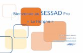 Bienvenue au SESSAD Pro « La Horgne - cmsea.asso.fr · -faciliter une bonne compréhension des démarches de l’équipe. Comité Mosellan de Sauvegarde de l’Enfance de l’Adolescence