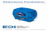 Réducteurs Pendulaires - expert-distribution.com · TEL : +33 3 44 31 67 60 ventes@expert-distribution.com Réducteurs Pendulaires. 293 CPT 2013 Issue 5 (01.13) Shaft Mounted Speed