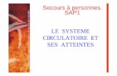 Secours à personnes. vados SAP1 Service … · Cycle cardiaque 3 TEMPS 3 relâchement et remplissage du cœur = diastole 1la contraction des oreillettes ... Manque d’O2 = douleur