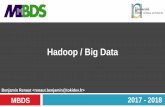 Hadoop / Big Data - cours.tokidev.frcours.tokidev.fr/bigdata/cours/mbds_big_data_hadoop_2017_2018... · 12-2 Présentation Développé en Scala (langage orienté objet dérivé de