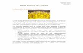 Huile d'olive de Tunisie - servagri.eu d'olive de Tunisie.pdf · La Tunisie, 4ème exportateur mondial d'huile d'olive. ... Grace à sa situation comme carrefour de beaucoup de civilisations,