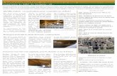 L’autoconstruction - Segrafo Ouest GEVREST.pdf · Lors de la réalisation de leurs projets, certains agriculteurs optent pour l’auto construction de leur bâtiment de séchage.