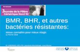 BMR, BHR, et autres bactéries résistanteshupnvs.aphp.fr/wp-content/blogs.dir/69/files/2016/02/BMR-BHR-Dr-L... · Par les mesures d’hygiènes qui ~~ à la lutte «contre le péril