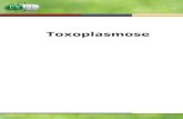 Toxoplasmose - Serveur UNT-ORIunt-ori2.crihan.fr/unspf/2010_Grenoble_Collomb_Toxoplasmose/res/... · 4 - lutte contre le péril fécal 5 - ne pas manger la charcuterie non cuite 6