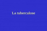La tuberculose - cdom73.org · La tuberculose en France •En France métropolitaine, le taux chez les personnes nées à l’étranger était x 8 à celui des personnes nées en