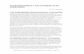 Les Ecdysozoaires I: Les Crustacés et les Chélicératesadamoliverbrown.com/wp-content/uploads/2014/02/Lab07... · 2014-02-27 · tubulaire dorsal, d’appendices articulés, et