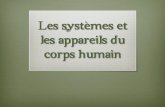 Les systèmes et les appareils du corps humainyappsolutely.weebly.com/uploads/2/6/3/1/26317450/2.1.pdf · Les systèmes et les appareils du corps humain Cardiovasculaire (circulatoire)