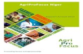 AgriProFocus Niger · AgriProFocus Niger mène des actions concrètes à travers la réalisation d´activités comme la foire financière, la semaine de l [entepenaiat, les débats