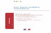 Les biens publics mondiaux - France Diplomatie - .garantir   lâ€™ensemble des acteurs de lâ€™©conomie