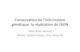 Conservation de l’information génétique: la réplication de ...pbil.univ-lyon1.fr/members/mbailly/Intro_Bio/4b_replication.pdf · Conservation de l’information génétique: