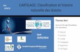 CARTILAGE: Classification et histoire naturelle des orthopedie-lyon.fr/wp-content/uploads/2012/02/DIU-GENOU-2016... 