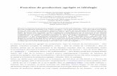 Fonction de production agrégée et idéologie - …bernardguerrien.com/wp-content/uploads/2017/07/FoncProduction_et... · globale, croissance (exogène ou endogène), cycles –,
