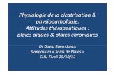 Exposé Dr. Raemdonck - CHU Tivoli · Physiologie de la cicatrisation & phhi thl iysiopathologie. Attitudes thérapeutiques : plaies aigües & plaies chroniques Dr DidDavid RdkRaemdonck