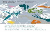 Génétique dans les Plans Nationaux Adaptation au ... · Directives Volontaires à l’Appui de l’Intégration de la Diversité Génétique dans les Plans Nationaux d’Adaptation