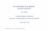 Les pathologies de la gestation chez les ruminants · Année 2008-2009 Prof. Ch. Hanzen- Les pathologies de la gestation 2 Objectifs Ce chapitre a pour objet de traiter des pathologies