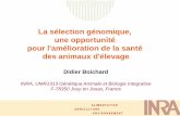 La sélection génomique, une opportunité pour l ... · pour l'amélioration de la santé des animaux d'élevage Didier Boichard . A L I M E N T A T I O N A G R I C U L T U R E E