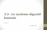 3.1 - Le système digestif humain - sjeaurond.weebly.comsjeaurond.weebly.com/.../2/4/4/1/24417072/3.3_-_systme_digestif.pdf · •Limité par les joues, le palais dur (voûte du palais)