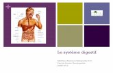 Le système digestif - files7.webydo.comfiles7.webydo.com/90/9059847/UploadedFiles/B783F0A6-C07C-EEE7-4… · Le tube digestif : l’extérieur du corps ! Il faut se représenter