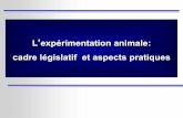 L expérimentation animale: cadre législatif et aspects ... · réduire l'utilisation des animaux : ... par l’amélioration des techniques opératoires, ... le plan génétique