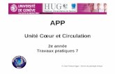APP Circulation Microscopie 2006 ds - UNIGE · Dr Jean-François Egger - Service de pathologie clinique . ... APP Circulation 4. ... ATS coronarienne .