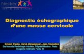 Diagnostic échographique - naxos.biomedicale.univ …naxos.biomedicale.univ-paris5.fr/diue/wp-content/uploads/2013/06/... · • Tumeur: –Nodule ou masse –Isoéchogène homogène