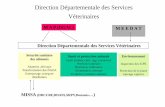 Direction Départementale des Services Véterinairesadmin.umih-bourgogne.fr/upload/umih/fichiers/Role_DSV.pdf · Une DDSV – des personnes • Des agents en poste au siège ... –