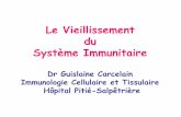 Le Vieillissement du Syst¨me Immunitaire - .Le Vieillissement du Syst¨me Immunitaire Dr Guislaine