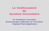 Le Vieillissement du Syst¨me Immunitaire - .V2. D2. J6. C1. ADN r©arrang© Ly T. ... adjonction