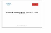 Bilan Commun de Pays (CCA) Maroc - ma.one.un.orgma.one.un.org/content/dam/unct/morocco/docs/unct-MA-analysepays... · Le présent document, le Bilan commun de pays des Nations Unies