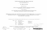 UNIVERSITE DE PROVENCE - …horizon.documentation.ird.fr/exl-doc/pleins_textes/doc34-01/... · Metropolitana (UAM, México) et \'ORSTOM développée depuis 1981 concernanl la Fermentation