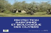 PROTECTION RAISONNEE ET BIOLOGIQUE DES …€¦ · 5 L’olivier est un arbre typiquement méditerranéen. Il est adapté à des étés chauds et secs, des intersaisons douces et