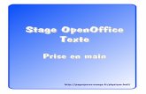 Stage OpenOffice Texte - physique.buil.pagesperso …physique.buil.pagesperso-orange.fr/openoff_text.pdf · Pour savoir à quoi sert un bouton ou un menu, placez la souris dessus