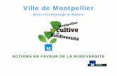 Ville de Montpellier - cbd.int · Le Cemagref : Centre national du machinisme agricole, du génie rural, des eaux et des forêts Le Cirad : Centre de coopération internationale de