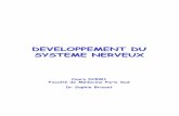 DEVELOPPEMENT DU SYSTEME NERVEUX - …louis.dewey.free.fr/Cours/D1/Embryo/1er semestre/Pdf cours... · DEVELOPPEMENT DU CERVEAU (I)DEVELOPPEMENT DU CERVEAU A. Plaque neurale B. Tube