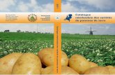 Catalogue néerlandais des variétés de pommes de terre … · 4 5 Originaire d’Amérique latine, la pomme de terre devient aujourd’hui un aliment de base de plus en plus courant,