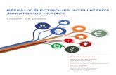 Réseaux électRiques intelligents smaRtgRids FRance · L’association « Réseaux Électriques Intelligents – Smartgrids France », dont les statuts ont été signés le 16 avril