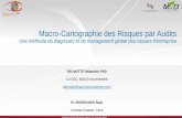 Macro-Cartographie des Risques par Auditsstatcart.com/Documentation/SDelmotte-Q15-PresentationMCRA.pdf · Fournir la liste des actions de réduction des risques initiaux et de gestion