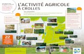 PRÉSERVER ET SOUTENIR L’ACTIVITÉ ÉCONOMIQUE AGRICOLE · Ce projet est soutenu et accompagné ... CRÉATION D’UNE ASSOCIATION FONCIÈRE AGRICOLE (AFA) Vente directe d’asperges.