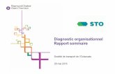 Diagnostic organisationnel Rapport sommaire - sto.ca · Le diagnostic s’appuie sur le modèle des organisations performantes 4 ... • Affecte ses ressources de façon à permettre