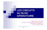 8 Les circuits au bloc - resclin.fr · C. ARNETON - IBODE CHU Reims - 2010 Maitriser les risques liés aux locaux, circuits et flux Importance de l’architecture du bloc opératoire