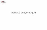 Activité enzymatique - esr.cscmonavenir.ca · Métabolisme •est un ensemble de réactions chimiques catalysées par des enzymes chez le vivant. •implique de longues chaînes