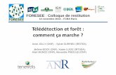 Télédétection et forêt : comment ça marche ?foresee.fcba.fr/wp-content/uploads/sites/9/2014/10/02-foresee-14... · FORESEE : Colloque de restitution -14 novembre 2014 –FCBA