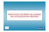 PROTOCOLE DE PRISE EN CHARGE DE LA DOULEUR EN uhcd.chra.free.fr/procedures/douleur/GEDOU/  · PDF filePROTOCOLE DE PRISE EN CHARGE DE LA DOULEUR EN URGENCE. ... Prise en Charge ...