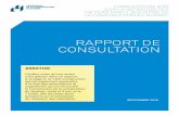 RAPPORT DE CONSULTATION - ccq.org/media/PDF/Communications/Metiers/juridiction/... · Règlement sur la formation professionnelle de la main-d’œuvre de l’industrie de la construction.