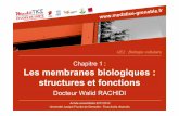 UE2 : Biologie cellulaireunf3s.cerimes.fr/media/paces/Grenoble_1112/rachidi_walid/rachidi... · Cohésion des phospholipides membranaires • La cohésion des phospholipides membranaires