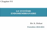LE SYSTÈME ENDOMEMBRANAIRE - …dekarcytologie.weebly.com/uploads/4/1/7/0/41704721/chapitre_vii... · 1- citer les compartiments morphologiques du système endomembranaire ... 5-Notion