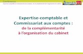 Expertise-comptable et Commissariat aux comptes · IEC : « expert-comptable » (art. 16 et 20 de la loi du 22 avril 1999) ... iais d’un manuel d’organisation. Outil gratuit …d’aide