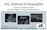DIU National d’échographienaxos.biomedicale.univ-paris5.fr/diue/wp-content/uploads/2013/05/... · Epanchements intra-abdominaux Trans-sonores ou hétérogènes . Epanchements pleuraux
